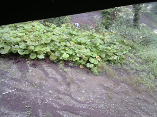 長野県菅平高原 ゆたか山荘 駐車場 2025/09/04 06:45