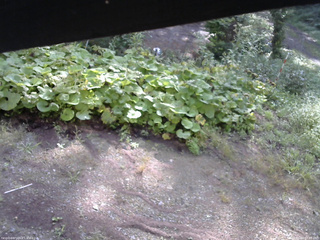 長野県菅平高原 ゆたか山荘 駐車場 2025/09/04 07:45