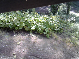 長野県菅平高原 ゆたか山荘 駐車場 2025/09/04 08:00