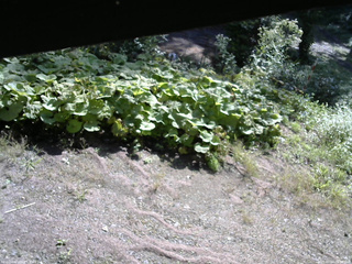 長野県菅平高原 ゆたか山荘 駐車場 2025/09/04 08:30