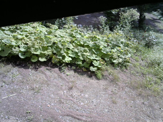 長野県菅平高原 ゆたか山荘 駐車場 2025/09/04 09:15