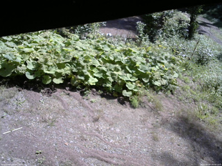 長野県菅平高原 ゆたか山荘 駐車場 2025/09/04 09:45