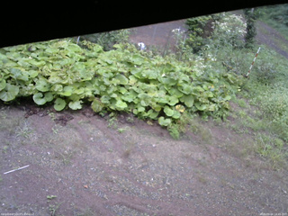 長野県菅平高原 ゆたか山荘 駐車場 2025/09/04 14:45