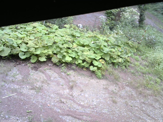 長野県菅平高原 ゆたか山荘 駐車場 2025/09/04 15:30