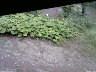 長野県菅平高原 ゆたか山荘 駐車場 2025/09/04 15:45