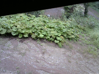 長野県菅平高原 ゆたか山荘 駐車場 2025/09/04 16:00