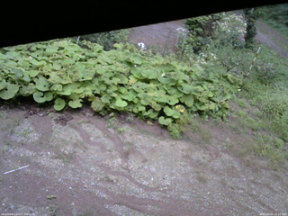 長野県菅平高原 ゆたか山荘 駐車場 2025/09/04 16:15