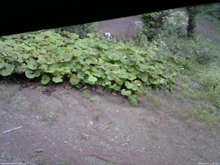 長野県菅平高原 ゆたか山荘 駐車場 2025/09/04 16:45