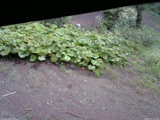 長野県菅平高原 ゆたか山荘 駐車場 2025/09/04 17:00