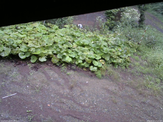 長野県菅平高原 ゆたか山荘 駐車場 2025/09/04 17:15