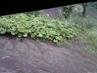 長野県菅平高原 ゆたか山荘 駐車場 2025/09/04 17:30
