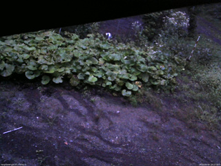 長野県菅平高原 ゆたか山荘 駐車場 2025/09/04 18:15