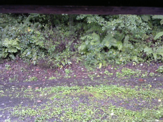長野県菅平高原 ゆたか山荘 南側 2025/09/05 09:00