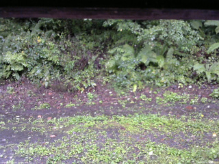 長野県菅平高原 ゆたか山荘 南側 2025/09/05 09:15