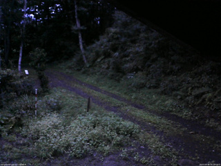 長野県菅平高原 ゆたか山荘 東側(坂下) 2025/09/05 05:15