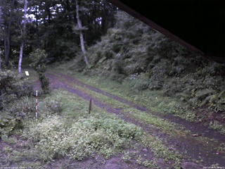 長野県菅平高原 ゆたか山荘 東側(坂下) 2025/09/05 05:30