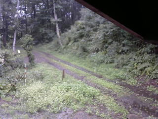 長野県菅平高原 ゆたか山荘 東側(坂下) 2025/09/05 08:15