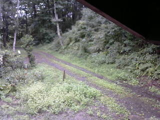 長野県菅平高原 ゆたか山荘 東側(坂下) 2025/09/05 08:45