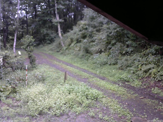 長野県菅平高原 ゆたか山荘 東側(坂下) 2025/09/05 09:15