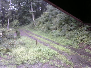 長野県菅平高原 ゆたか山荘 東側(坂下) 2025/09/05 11:00