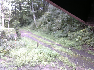 長野県菅平高原 ゆたか山荘 東側(坂下) 2025/09/05 13:45