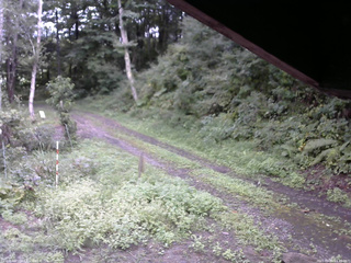 長野県菅平高原 ゆたか山荘 東側(坂下) 2025/09/05 14:45