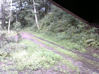 長野県菅平高原 ゆたか山荘 東側(坂下) 2025/09/05 15:45