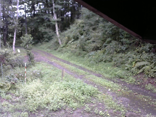 長野県菅平高原 ゆたか山荘 東側(坂下) 2025/09/05 16:00