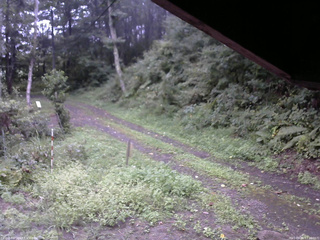 長野県菅平高原 ゆたか山荘 東側(坂下) 2025/09/05 17:00