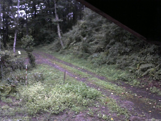長野県菅平高原 ゆたか山荘 東側(坂下) 2025/09/05 17:45