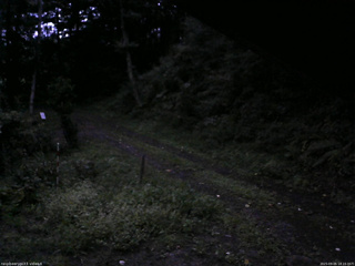 長野県菅平高原 ゆたか山荘 東側(坂下) 2025/09/05 18:15