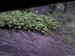 長野県菅平高原 ゆたか山荘 駐車場 2025/09/05 05:30