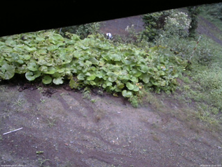 長野県菅平高原 ゆたか山荘 駐車場 2025/09/05 05:45
