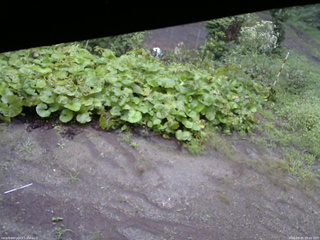 長野県菅平高原 ゆたか山荘 駐車場 2025/09/05 08:00