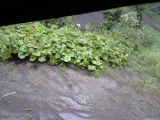 長野県菅平高原 ゆたか山荘 駐車場 2025/09/05 08:15