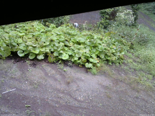 長野県菅平高原 ゆたか山荘 駐車場 2025/09/05 08:45