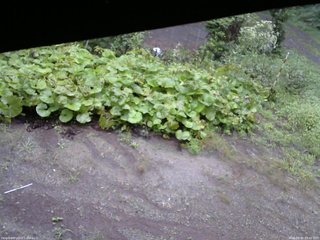 長野県菅平高原 ゆたか山荘 駐車場 2025/09/05 09:00