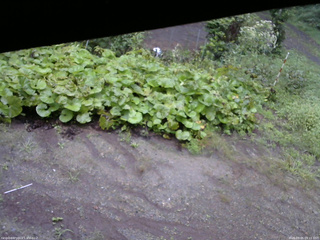 長野県菅平高原 ゆたか山荘 駐車場 2025/09/05 09:15