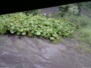 長野県菅平高原 ゆたか山荘 駐車場 2025/09/05 09:30