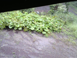 長野県菅平高原 ゆたか山荘 駐車場 2025/09/05 10:30
