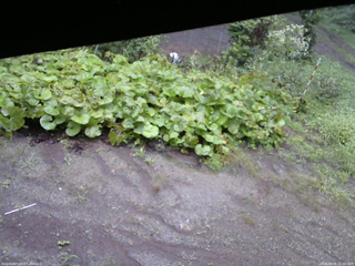 長野県菅平高原 ゆたか山荘 駐車場 2025/09/05 11:00
