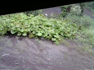 長野県菅平高原 ゆたか山荘 駐車場 2025/09/05 11:45