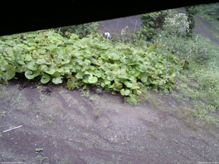 長野県菅平高原 ゆたか山荘 駐車場 2025/09/05 12:15