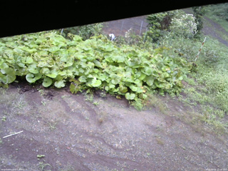 長野県菅平高原 ゆたか山荘 駐車場 2025/09/05 12:30
