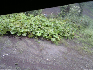 長野県菅平高原 ゆたか山荘 駐車場 2025/09/05 12:45