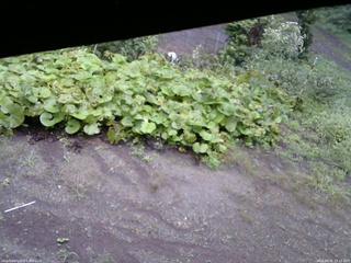 長野県菅平高原 ゆたか山荘 駐車場 2025/09/05 13:15