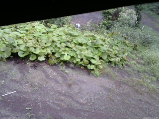 長野県菅平高原 ゆたか山荘 駐車場 2025/09/05 13:30