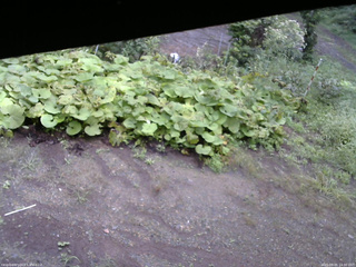 長野県菅平高原 ゆたか山荘 駐車場 2025/09/05 14:00