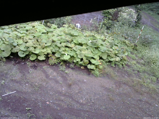 長野県菅平高原 ゆたか山荘 駐車場 2025/09/05 14:45