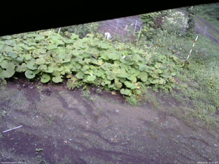 長野県菅平高原 ゆたか山荘 駐車場 2025/09/05 15:30